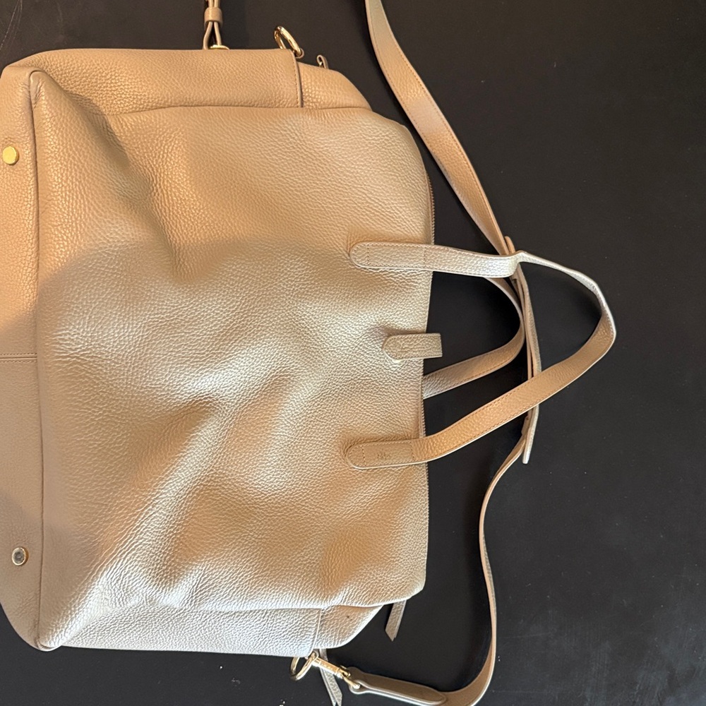 Cuyana Leather Tote Bag